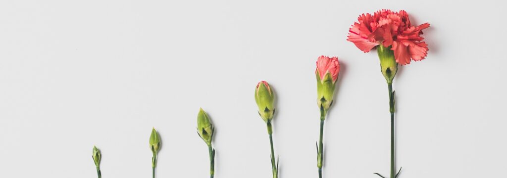 edward-howell-VlTJdP8ZY1c-unsplash